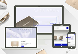 高端簡潔響應(yīng)式電子商務(wù)網(wǎng)站織夢網(wǎng)站建設(shè)模板（自適應(yīng)手機(jī)端）