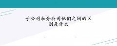 子公司和分公司他們之間的區(qū)別是什么