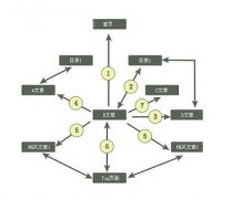 網(wǎng)站排名重要之一與首頁(yè)的內(nèi)鏈之間的關(guān)系