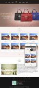 響應式品牌包包類網站織夢模板(自適應手機端)+利于SEO優化
